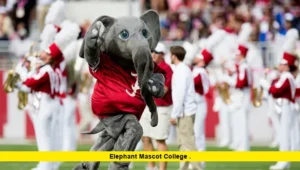 elephant mascot college