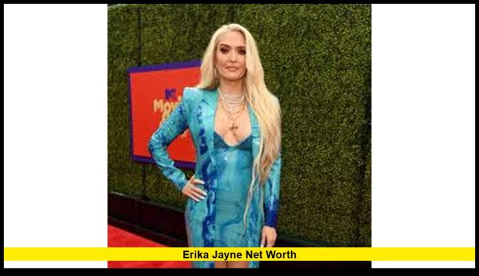 erika jayne net worth