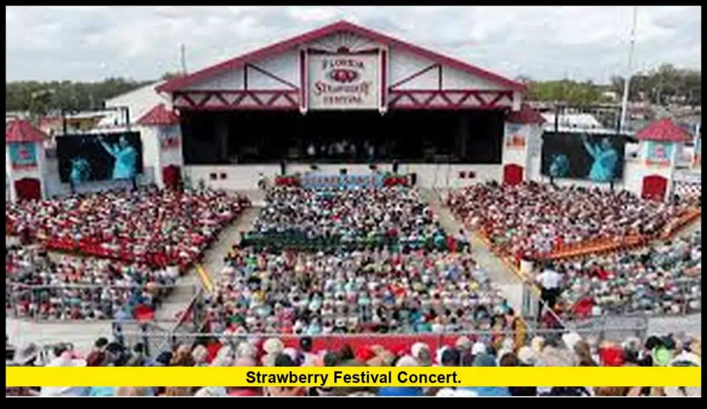 Strawberry Festival Concert Bag Policy