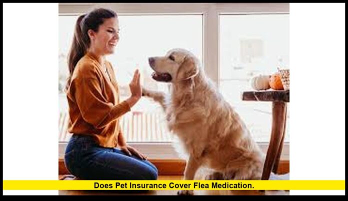 Does pet insurance cover flea medication. Does pet insurance cover flea medication.