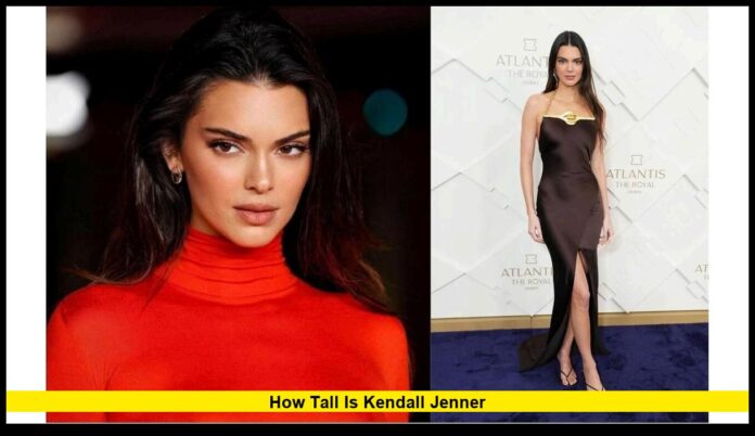 How Tall Is Kendall Jenner The Model’s Height and Its Role in Her Global Success