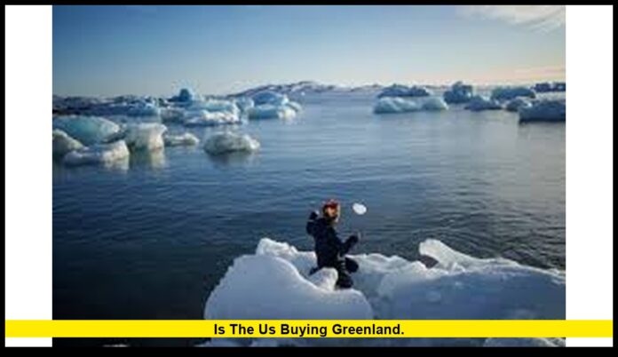 Is the US buying Greenland. Is the US buying Greenland.