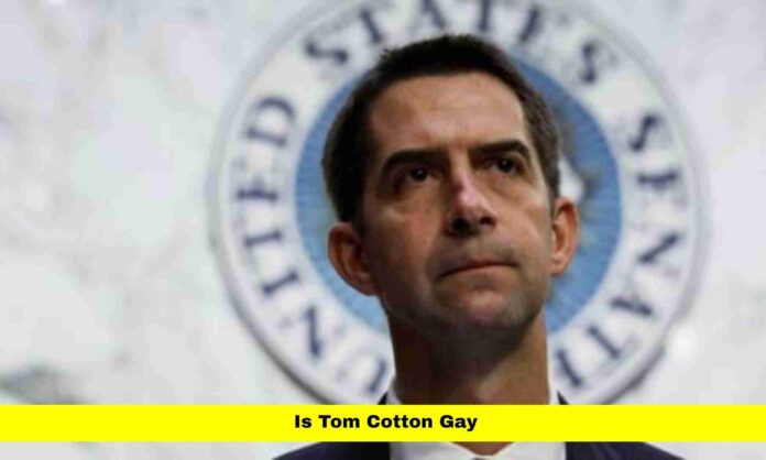Is Tom Cotton Gay Is Tom Cotton Gay