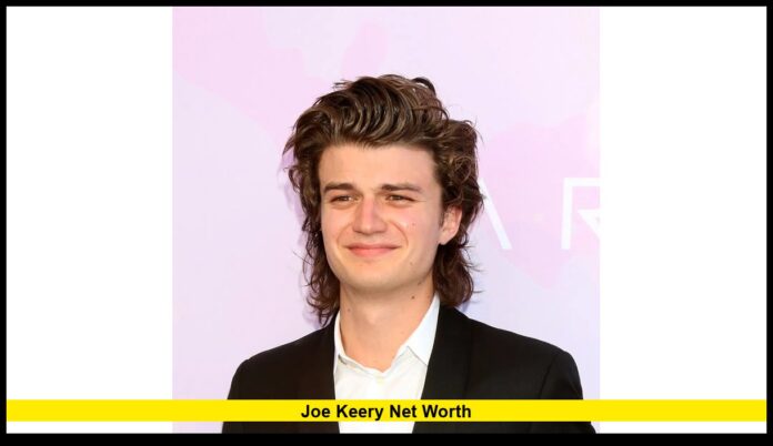 joe keery net worth