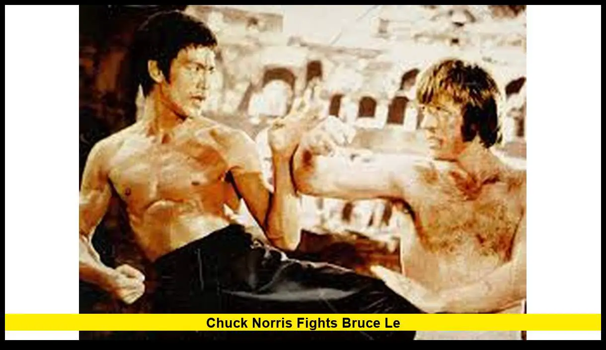 Elite Martial Arts Battle Chuck Norris The Unverified Showdown: Fact or Fabric?