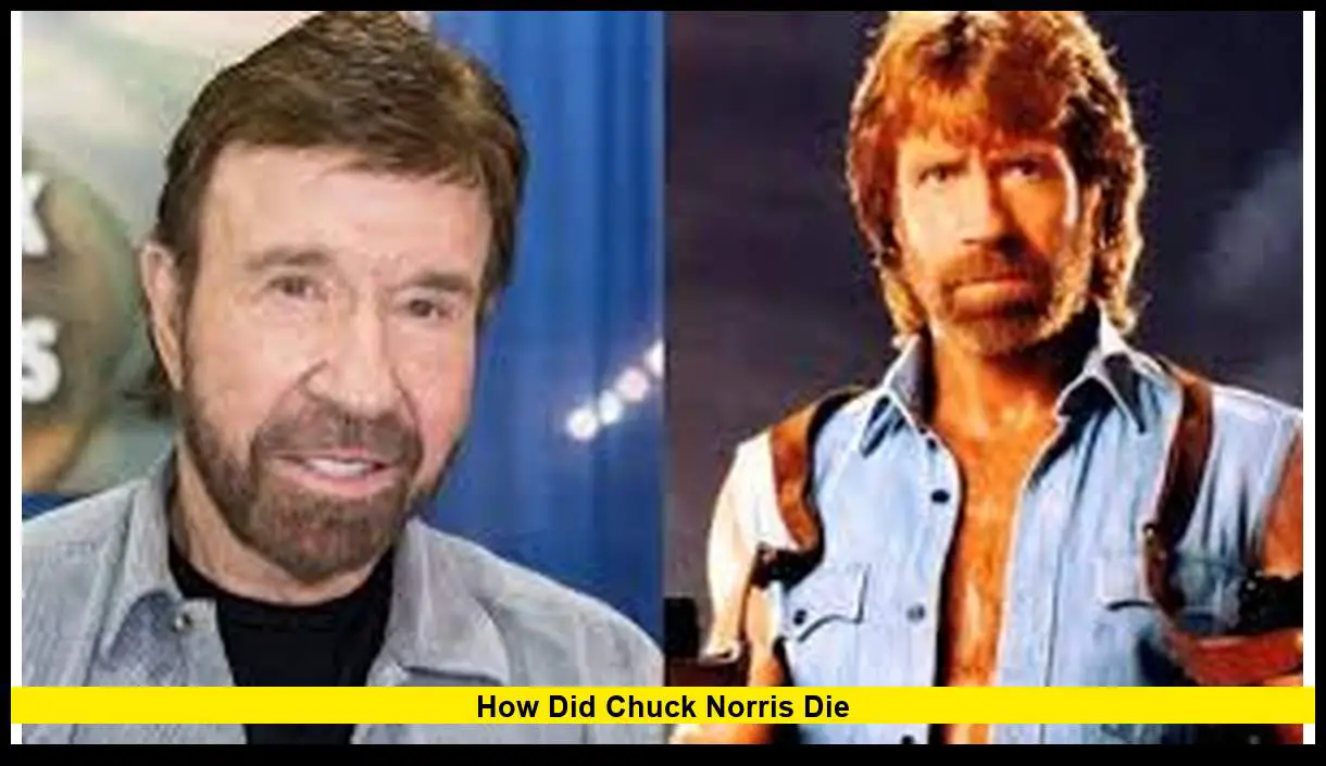 Extraordinary Did Chuck Norris Ride Bulls Gallery