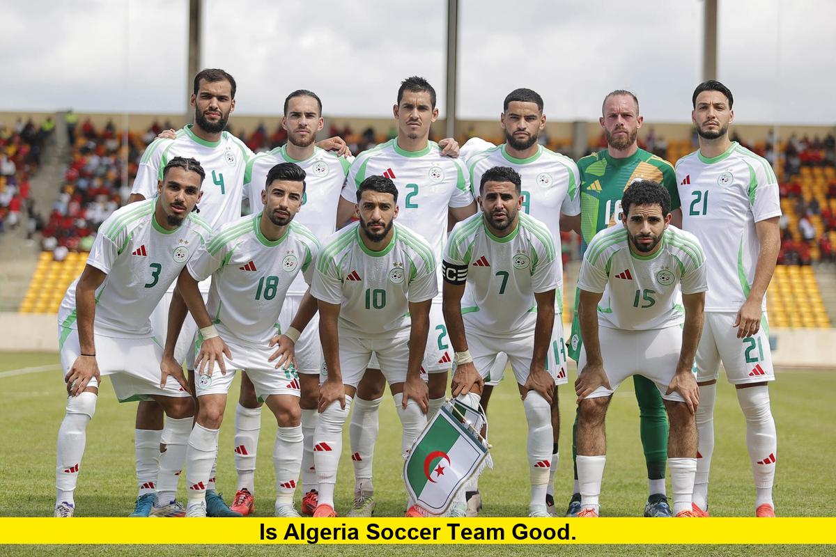 Is Algeria Soccer Team Good A Complete Look At Algeria s Football is-algeria-soccer-team-good-a-complete-look-at-algeria-s-football