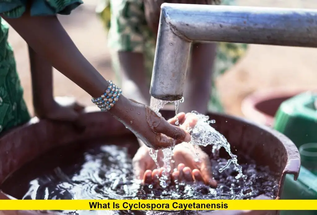 what-is-cyclospora-cayetanensis-what-to-know-about-the-parasite-behind